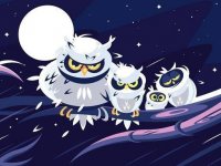 Wild Birds Match 3 Online Puzzle Game