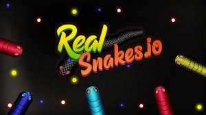 Real Snakes.io - Slither and Grow Online Game