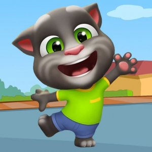 Talking Tom Differences Puzzle Game