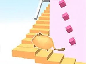 Curved Path Pet Challenge